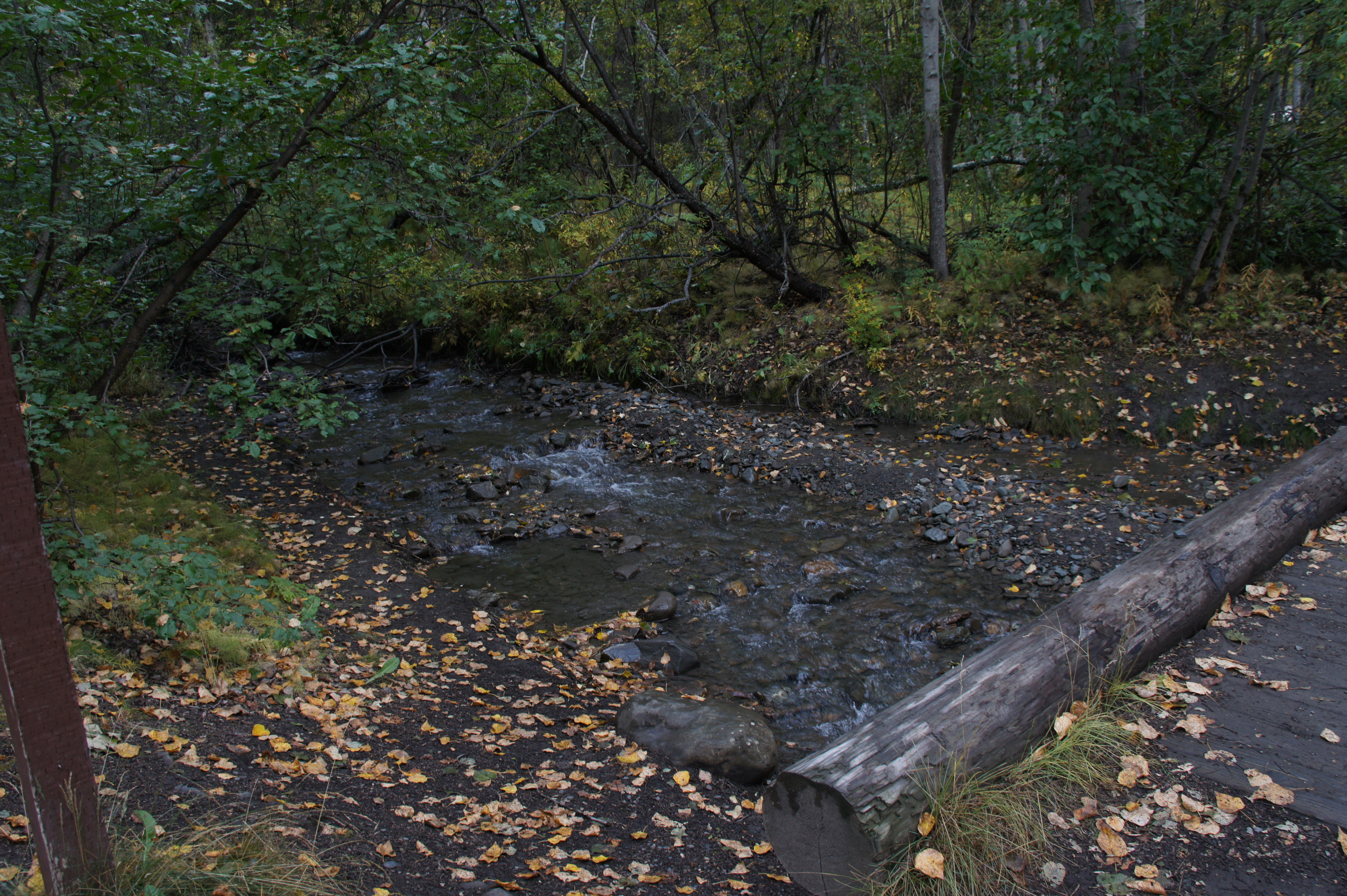 Click to return to the thumbnail index